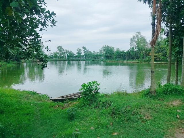1000083584.jpg