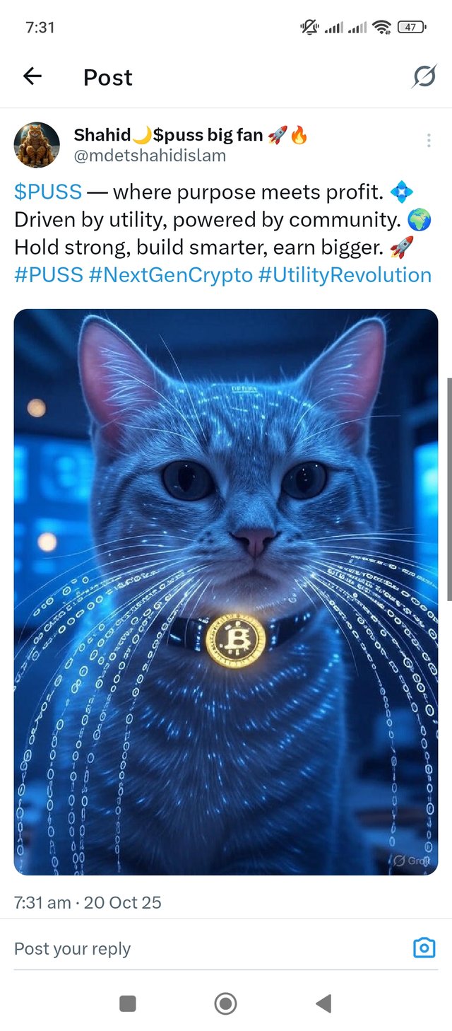 1000037920.jpg