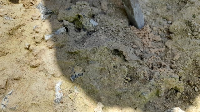 20250521_110806.jpg