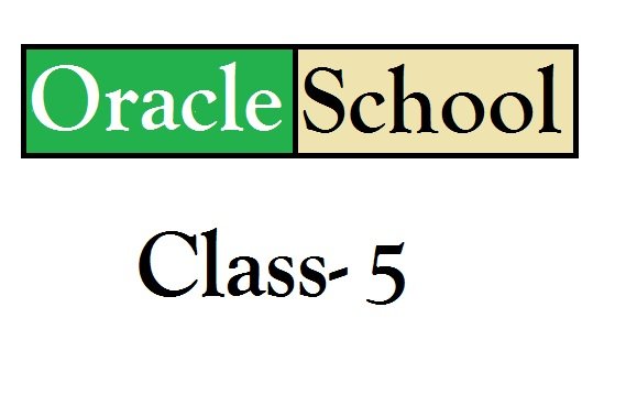 oracle_school4.jpg