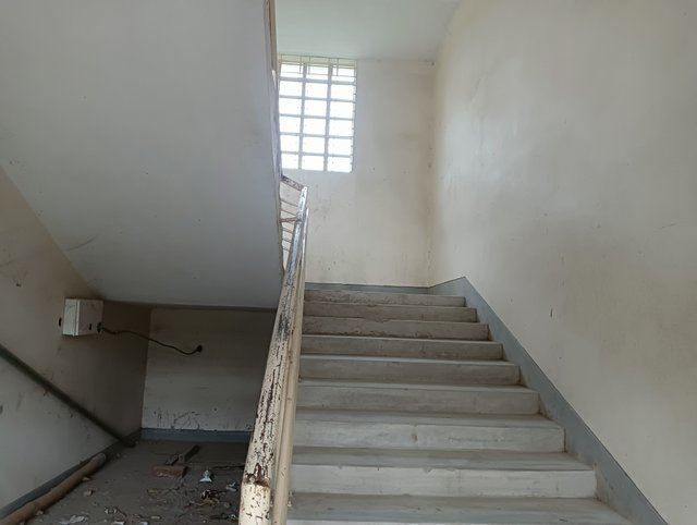 IMG20250724173842.jpg