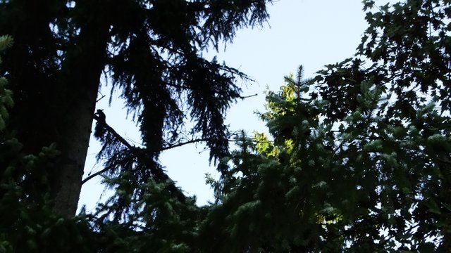 DSC00505.JPG