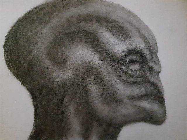 20250531_113015.jpg