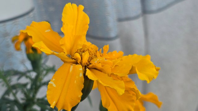 20250330_063756.jpg