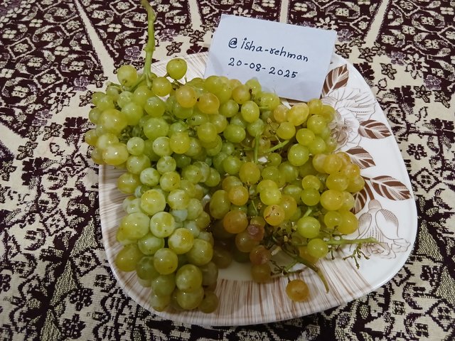 20250820_115426.jpg
