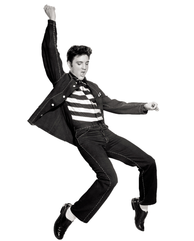 elvis-gcdd64729b_1920.png