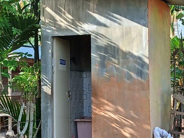 20250512_081128.jpg