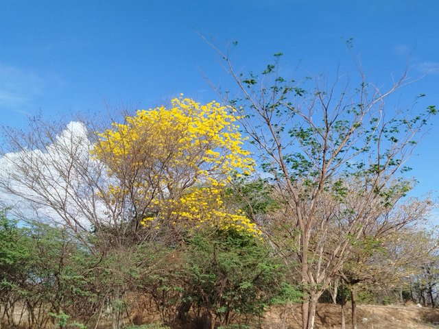 1000351958.jpg