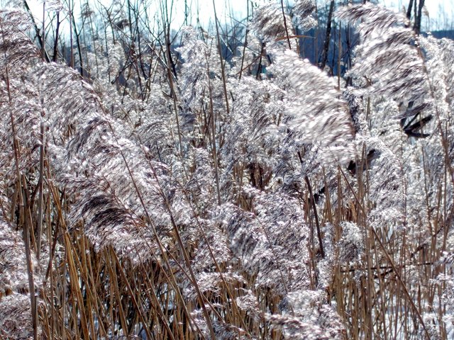 DSCN0582--.JPG