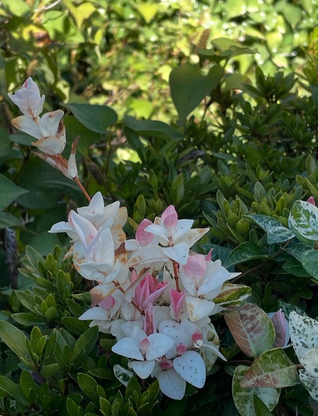 IMG_20250823_190922.jpg