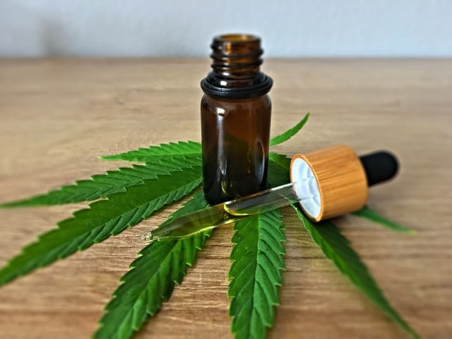 Quick Tips & Tricks For Buying Top-Quality CBD Tincture.jpg