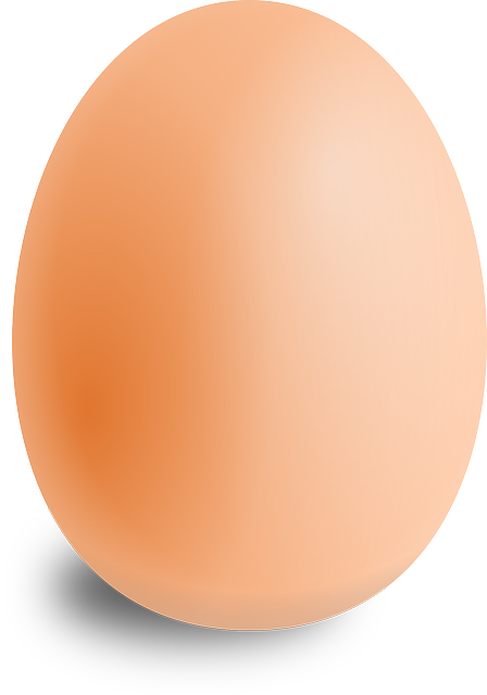 egg-157224_640.png