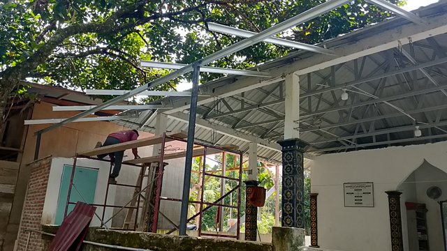 IMG_20250812_141555.jpg