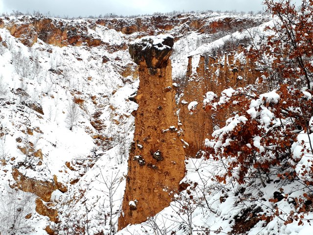 20190213_153425.jpg