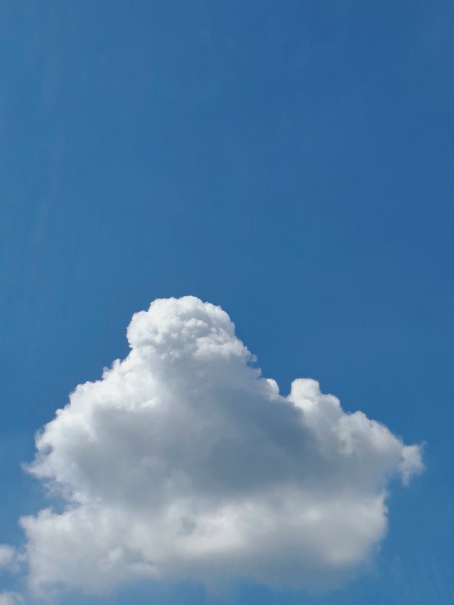 20250924_131551.jpg