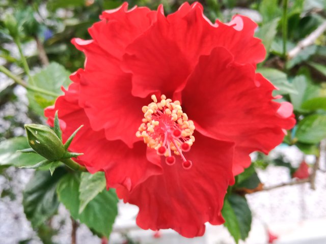 IMG_20250425_183321.jpg