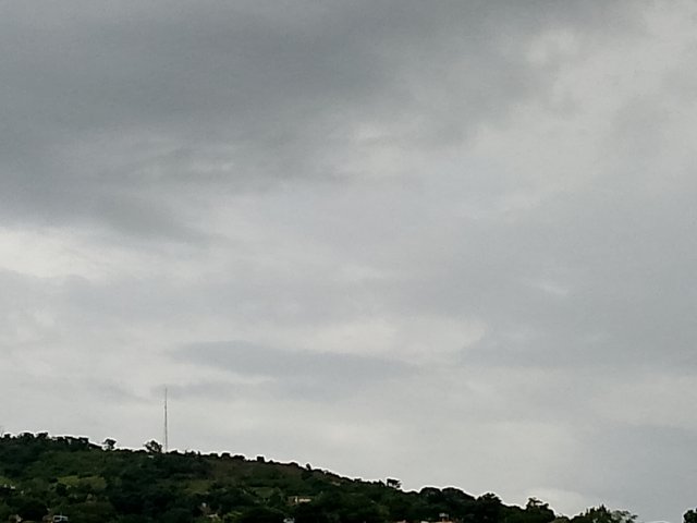 FotoGrid_20250810_165746280.jpg