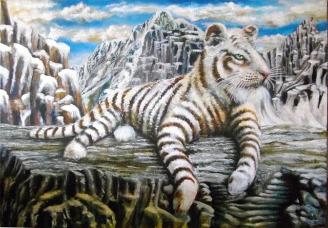 19_WhiteTiger.jpg