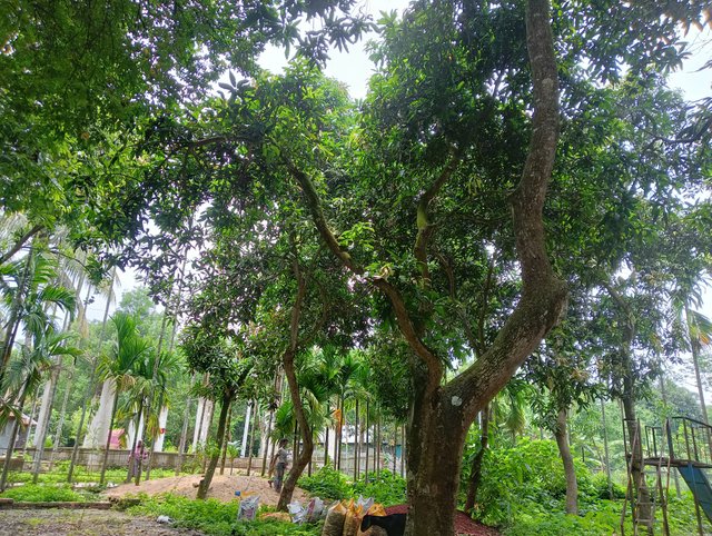 IMG20250623115856.jpg