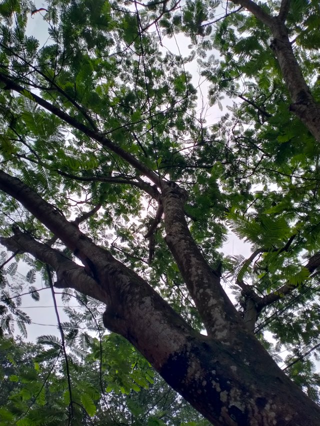 IMG20250621151853.jp