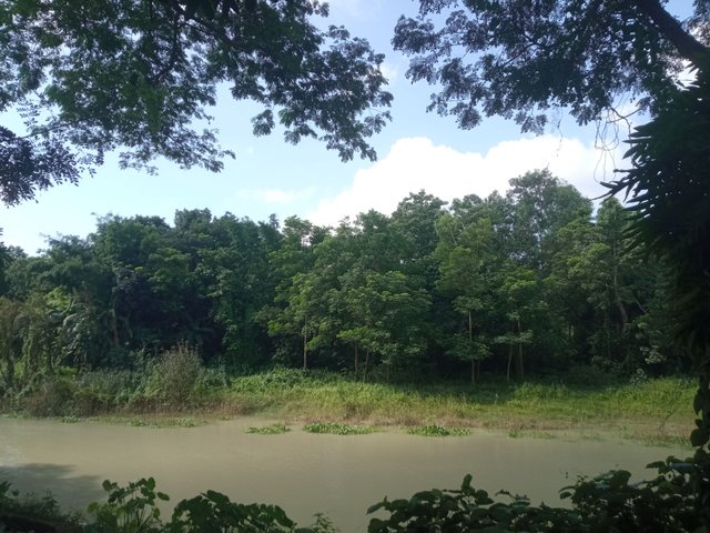 IMG_20250627_151444.jpg