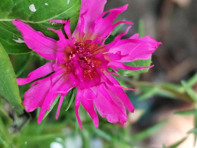 IMG_20250612_115643.jpg