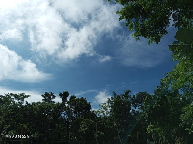 IMG_20250527_084641_417.jpg