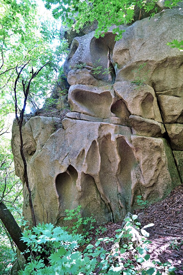 b-DSC09003.JPG