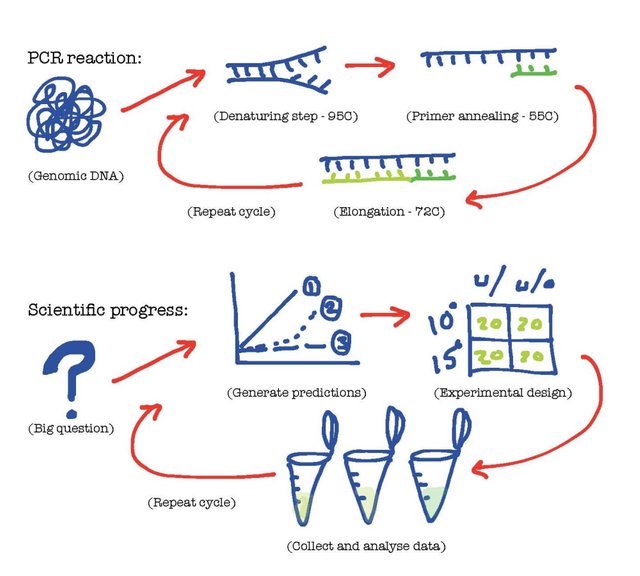 pcr-and-research-cycle.jpg