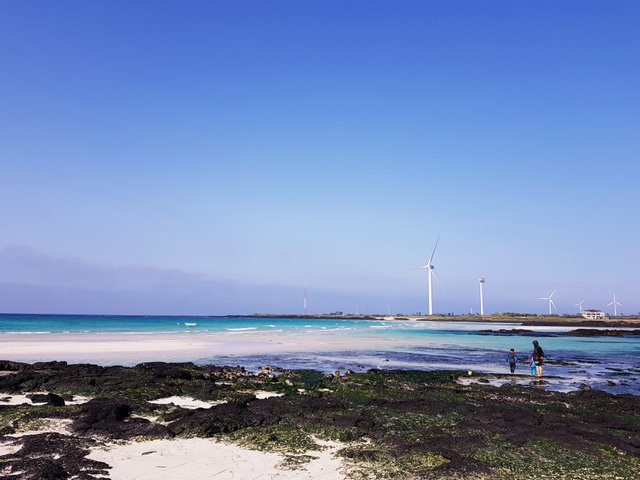 20180713_153216.jpg