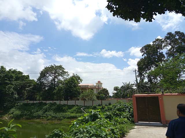 নেচার (1).jpg