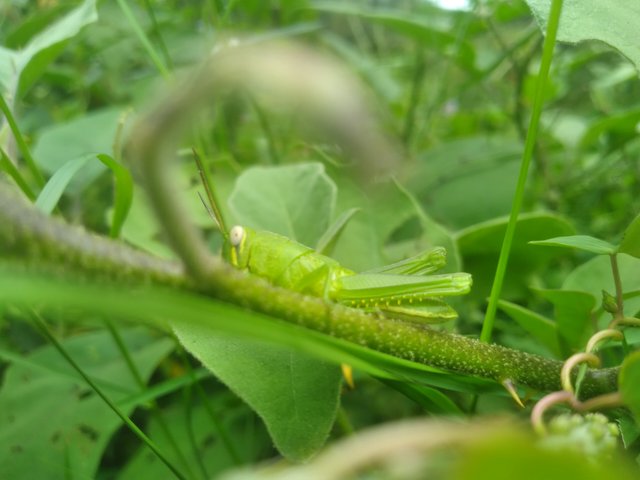 20250511_101026.jpg