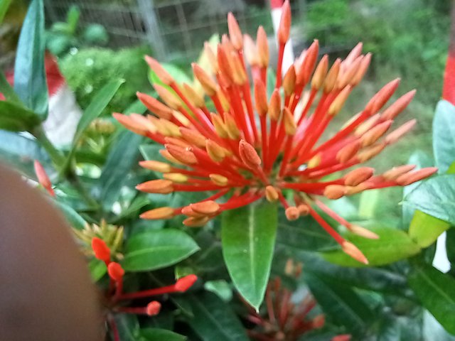 20250619_120743.jpg