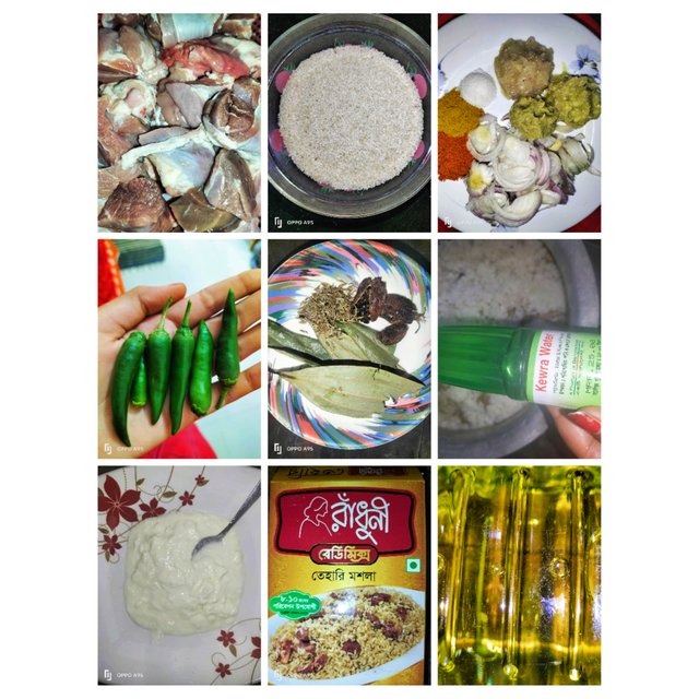 PhotoCollage_1745807861379.jpg