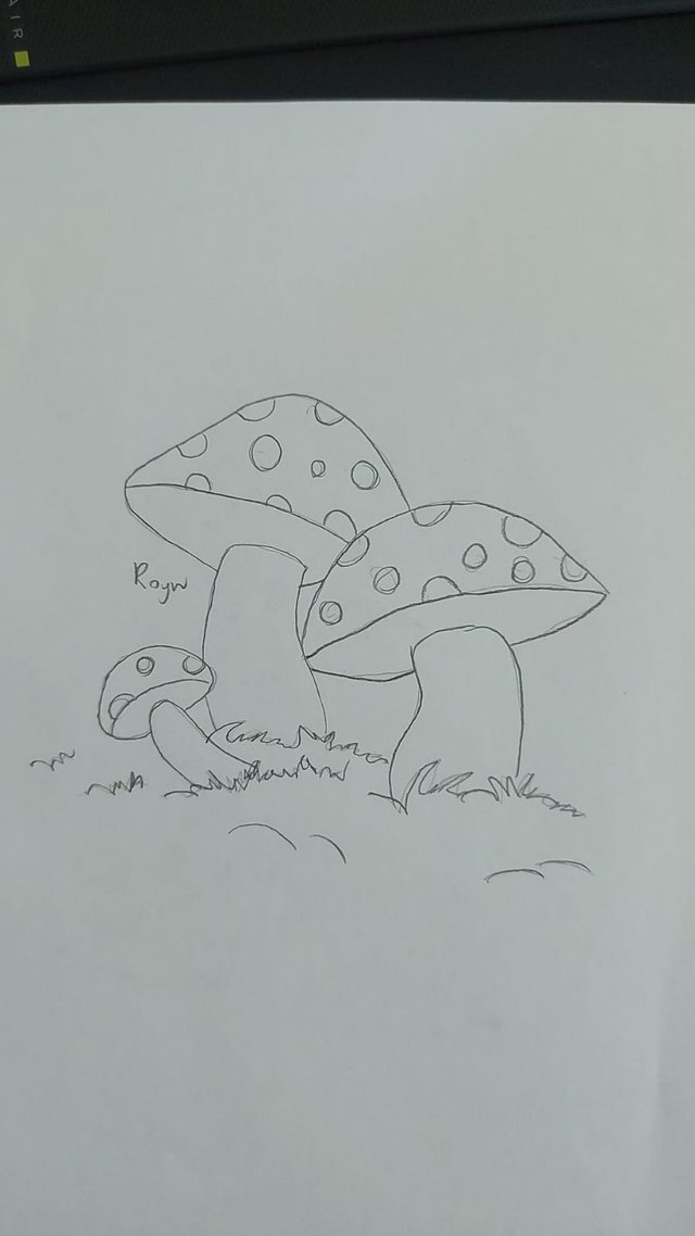 Mushrooms.jpeg