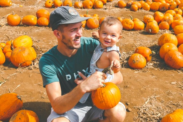 halloween-pumpkin-patch-derek-owens-j.jpeg