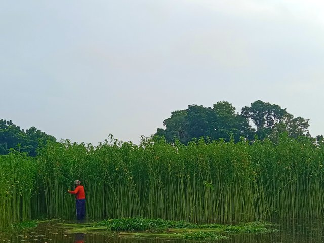 IMG_20250624_071345.jpg