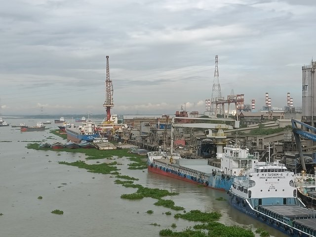 IMG20250524082131.jpg