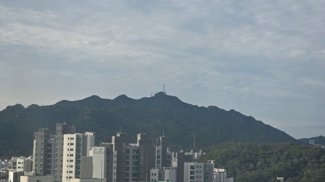 1000137534.jpg