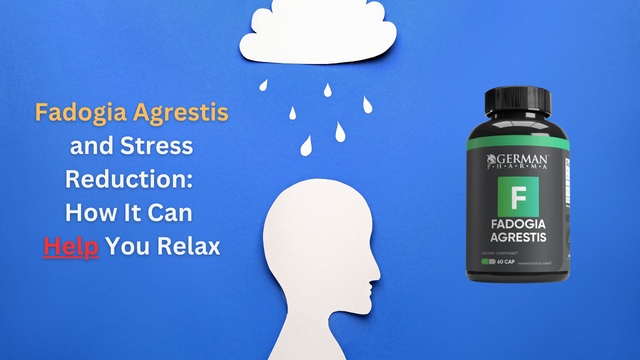 Fadogia Agrestis and Stress Reduction How It Can Help You Relax.png