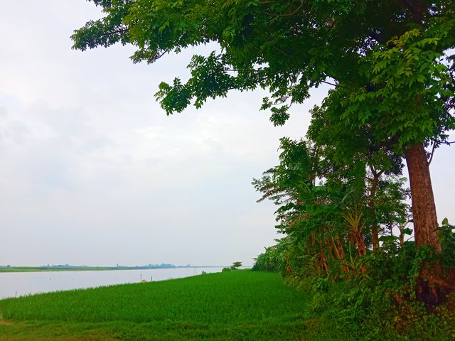 IMG_20250719_214950.jpg