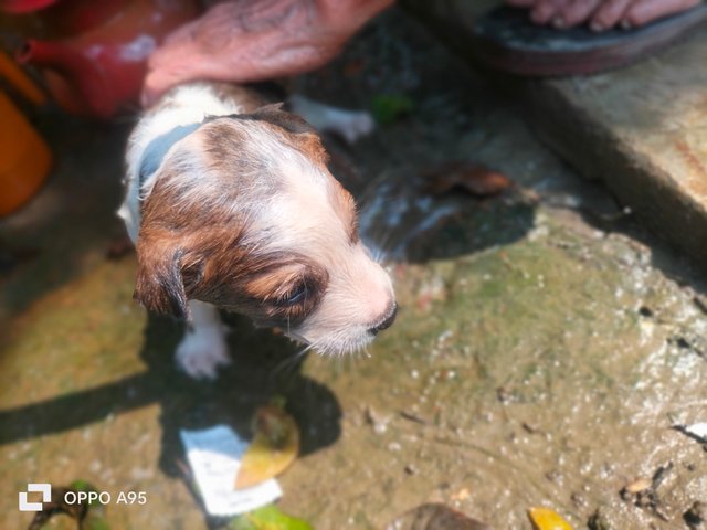 IMG20250326125355.jpg