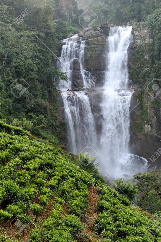 39683395-beautiful-ramboda-waterfall-in-sri-lanka.jpg