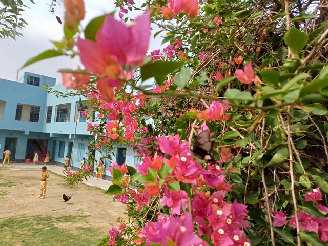 IMG20250424082640.jpg