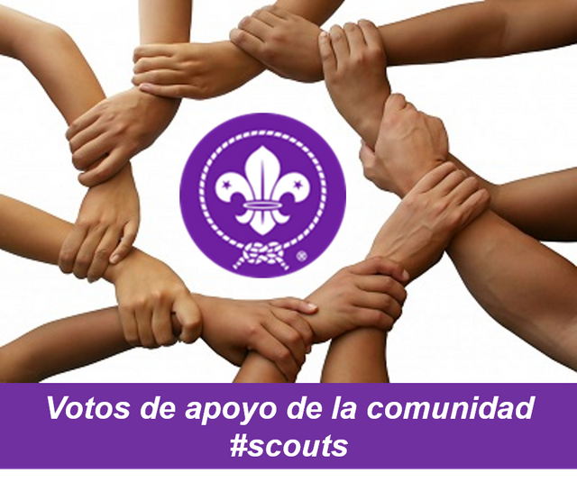 Votos de apoyo de la comunidad Scouts.png