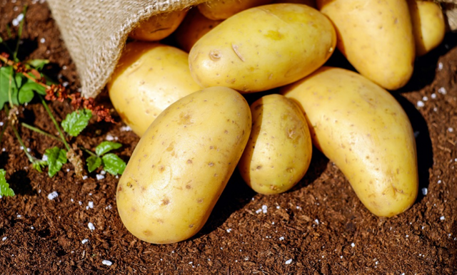 Potatoes.png