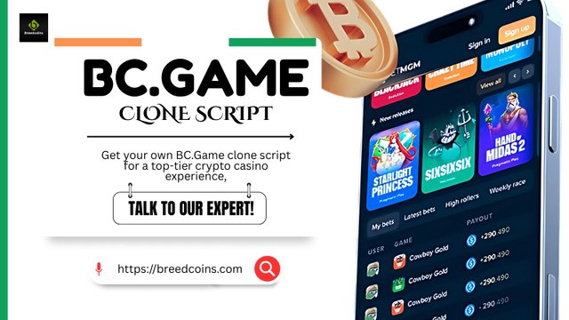 BC.Game Clone Script (24).jpg
