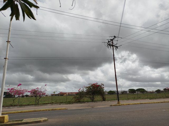 1000372047.jpg