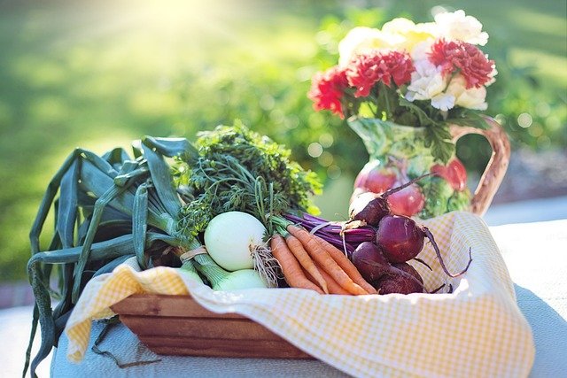 vegetables-g70286dfd4_640.jpg