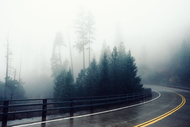 road-fog-bend-foggy.jpg
